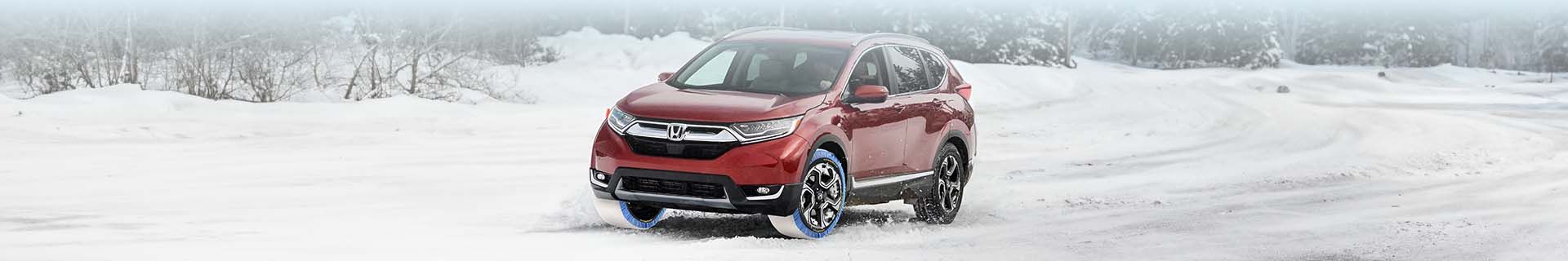 {{imageTitle}} {{imageAltText}}